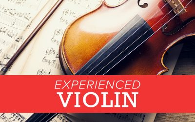 Experienced Violin