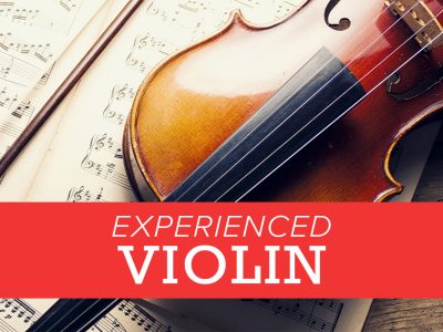 Experienced Violin
